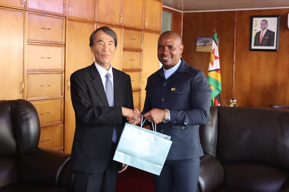 Ambassador gives gift to the Minister