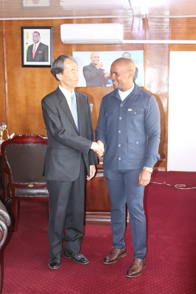 Ambassador shaking hands with the Minister